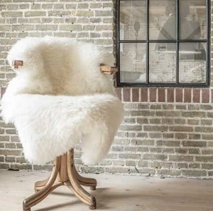 wp-van-buren-schapenvacht