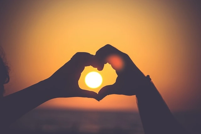 wp-zon
